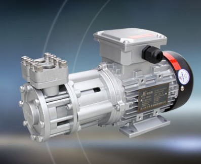 高溫電機熱水泵圖片 高溫電機熱水泵圖片